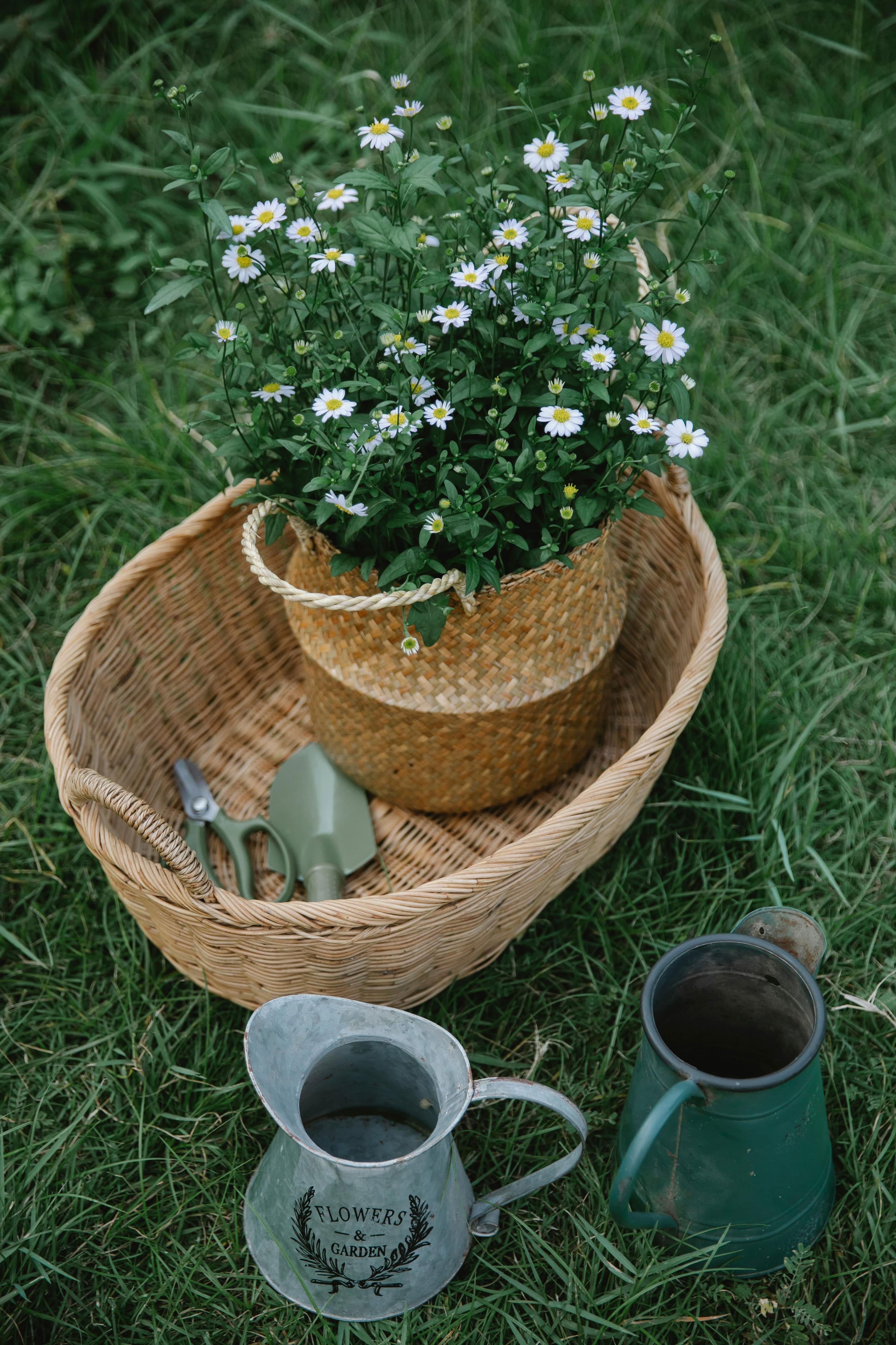Garden basket
